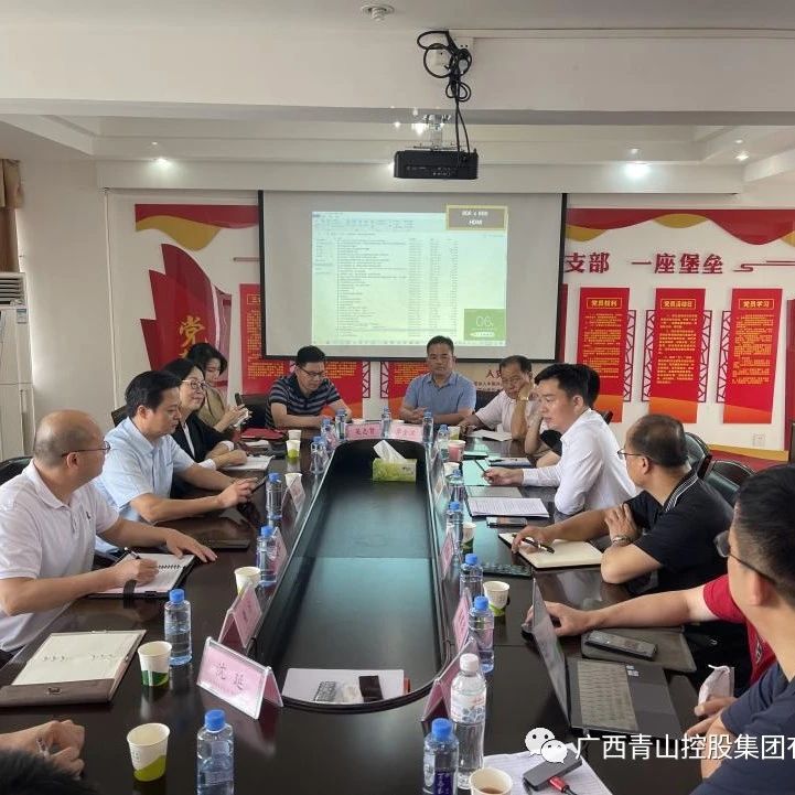 集团董事长杨海鑫与横州市国泰投资发展有限公司进行工作交流