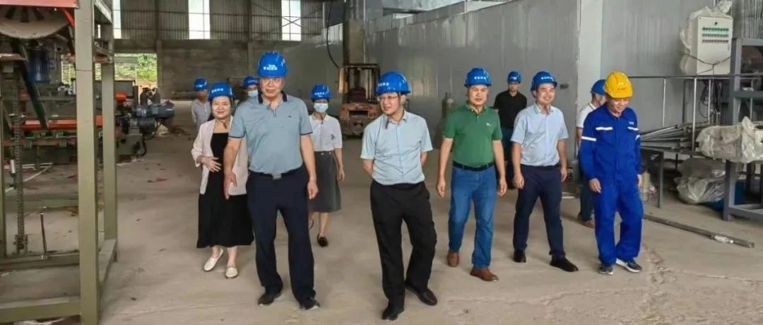 横州市人民政府副市长蒙柯宇一行莅临集团旗下青松木业横州基地调研