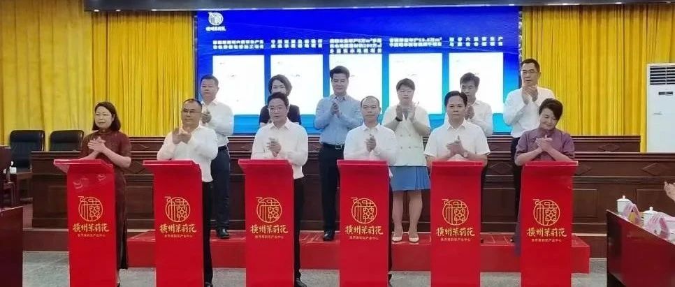 集团董事长杨海鑫出席横州市2022年&ldquo;项目为王&rdquo;第二季度重大项目签约仪式