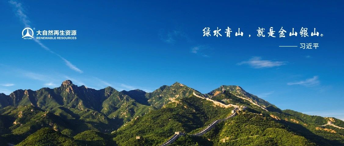 广西大自然再生资源有限公司生活垃圾终端智能分类及再生资源利用技术取得重大突破