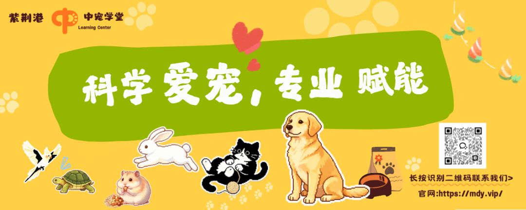 狗界高阶社交礼仪：你家毛孩子每天都在对你&ldquo;行大礼&rdquo;，你却傻傻看不懂？